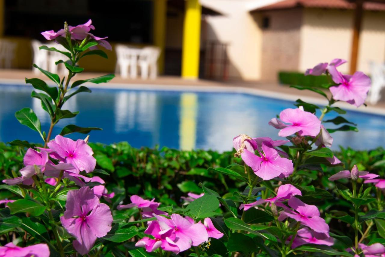 Deluxe Suites Guacamayos - Eco-Lodge & Swimming Pool Bonao Exterior photo